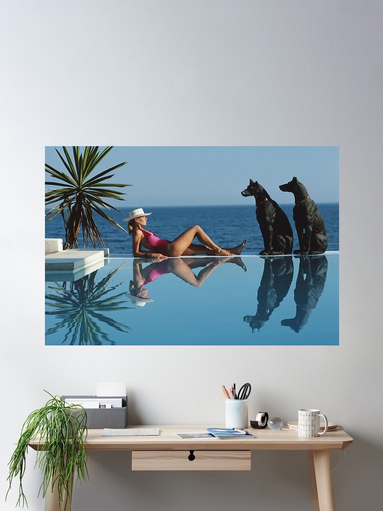 Retro Poolside Host Luxe leven - Luxury Lifestyle Picture recensie en prijs